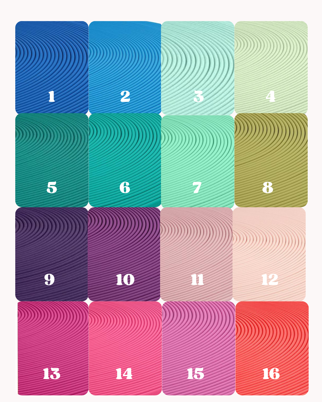 Laisse multiposition biothane